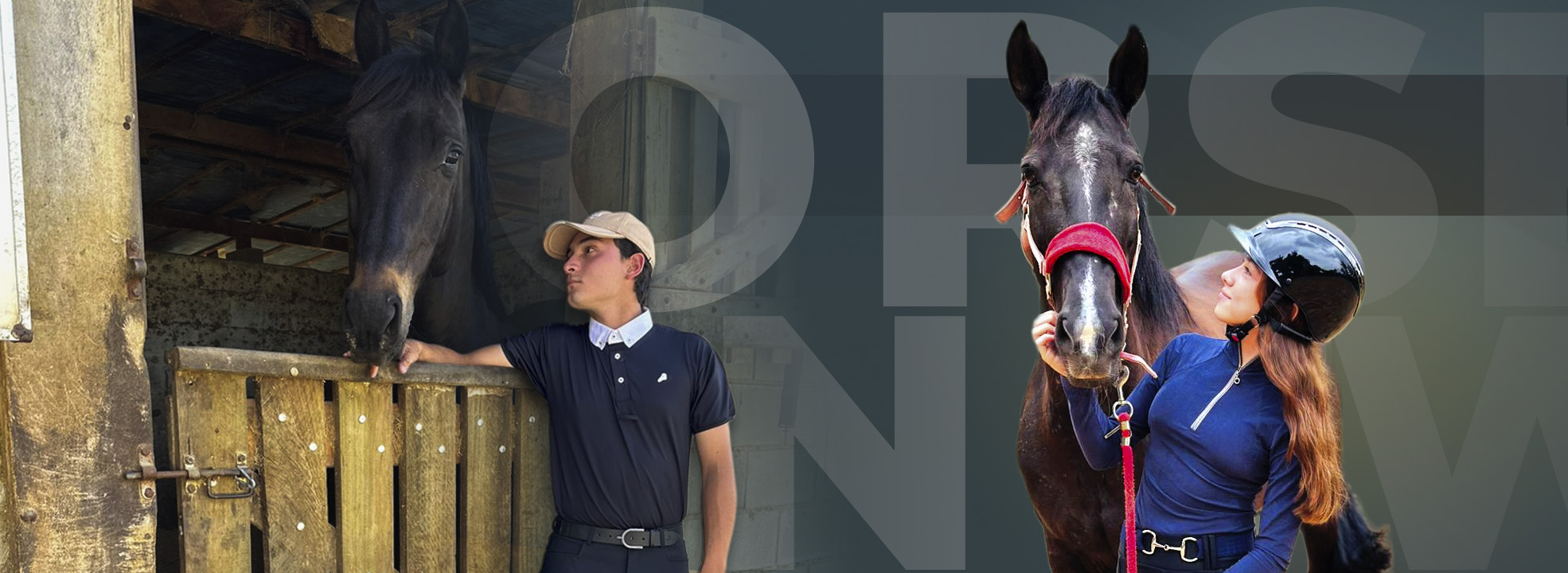 Banner_horse2